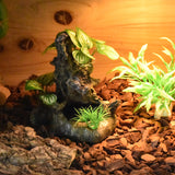 OMEM Reptile Decorations for Terrarium Landscaping Habitat Decor Aquarium Fish Tank Ornament Sunken Wood