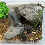 OMEM Reptile Shelter Terrarium Hideout Habitat Decor Humidify Hide Cave Turtle Ramp Basking Platforn