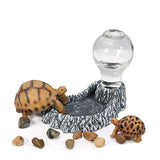 OMEM Reptile Automatic-Refilling Water Dispenser Feeder Dish with Bottle Landscaping Decoration for Tortoise Turtle Feeding Water Bowl Food Bowl Pet Supplies