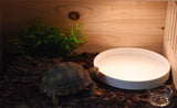 OMEM Reptile Food Bowl,Water Dish,Turtle Feeder,Feeding Dish,Food Container