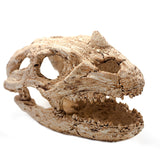 OMEM Natural Reptile Decorative Dinosaur Skull Hideaway Resin Made