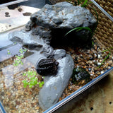 OMEM Reptile Shelter Terrarium Hideout Habitat Decor Humidify Hide Cave Turtle Ramp Basking Platforn