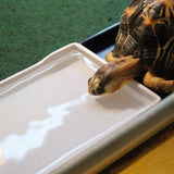 OMEM Reptile Food Bowl, Large Water Dish, Feeding Dish, Tortoise Bowl (S, Black Smooth)
