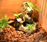 OMEM Reptile Decorations for Terrarium Landscaping Habitat Decor Aquarium Fish Tank Ornament Sunken Wood