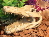 OMEM Natural Reptile Decorative Dinosaur Skull Hideaway Resin Made