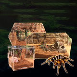 OMEM Transparent Acrylic Pet Reptile Box-Pet Reptile Combination Breeding Box Spider Scorpion Snake Transparent Breeding Box