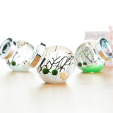 OMEM for Kids Algae Moss Balls Seed Glass Jar Aquarium Terrarium Kit