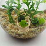 OMEM Multi Color Aquarium Set moss ball terrarium Gravel Doll Boat Workbench Decoration Turtles