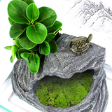 OMEM Reptile Box Shelter Hideout Caves Humidification Turtle Terrace Climbing Ladder Landscaping Habitat Decorative Resin Rocks (Not Including Moss)