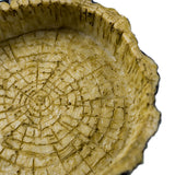 OMEM Reptile Natural Bowl Food and Water Dish Resin Made (Tree bark)